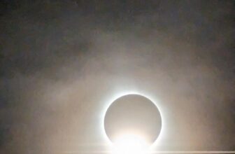 The Little Issues E-newsletter #412 – Life, laughter, and many nice meals!